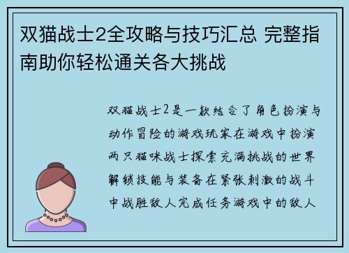 双猫战士2全攻略与技巧汇总 完整指南助你轻松通关各大挑战
